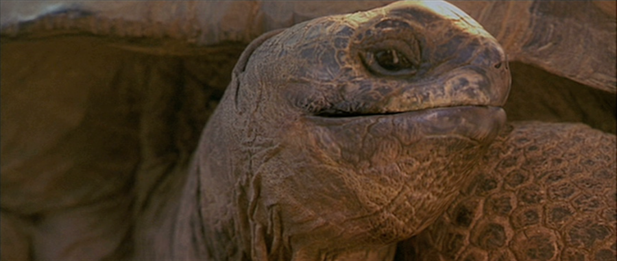 Screen shot 2013-10-09 at 3.38.39 PM