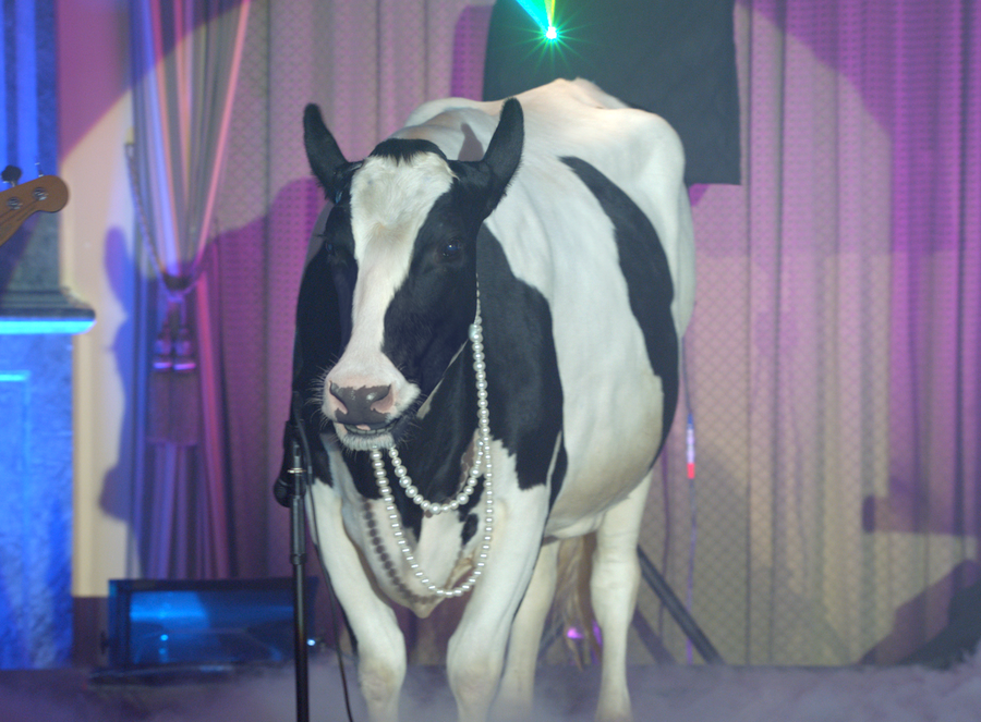 wed580_comp_v008_hd_lg10crop